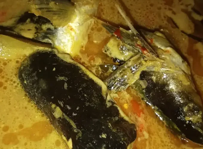 Gulai Kepala Ikan Patin